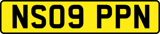 NS09PPN