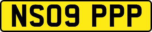 NS09PPP