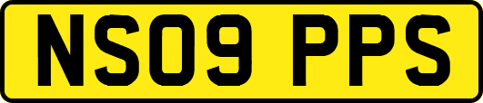 NS09PPS