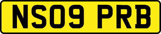 NS09PRB