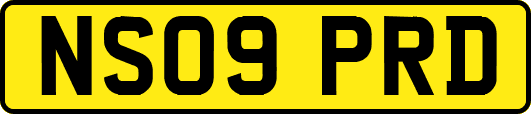 NS09PRD