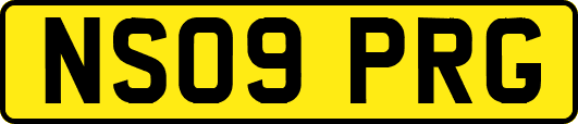 NS09PRG