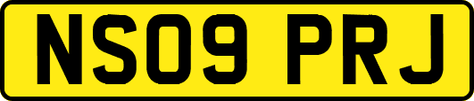 NS09PRJ