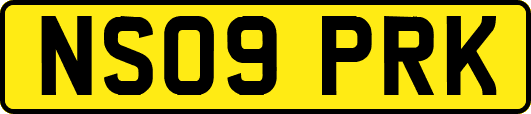 NS09PRK