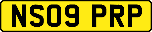 NS09PRP