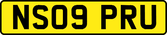 NS09PRU