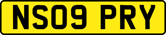 NS09PRY