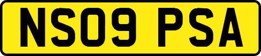 NS09PSA