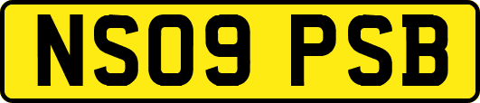 NS09PSB