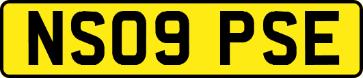 NS09PSE