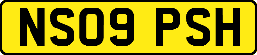NS09PSH