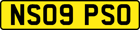 NS09PSO