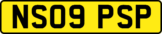 NS09PSP