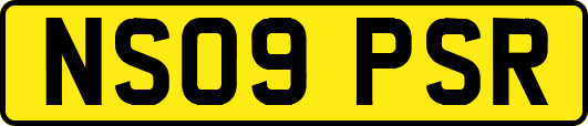 NS09PSR