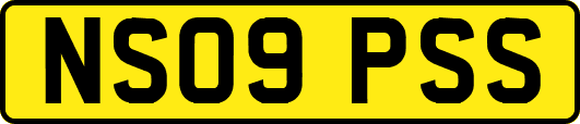 NS09PSS