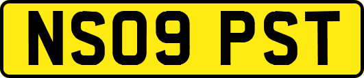 NS09PST