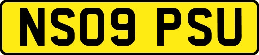 NS09PSU