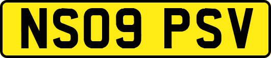 NS09PSV