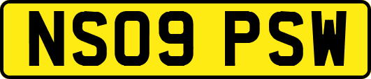 NS09PSW
