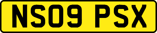NS09PSX