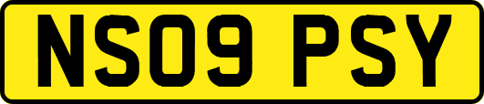 NS09PSY