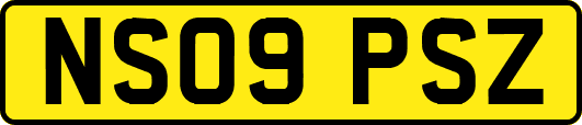 NS09PSZ