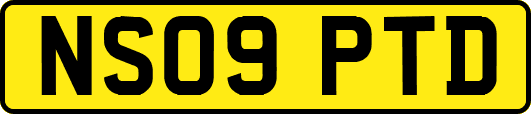 NS09PTD