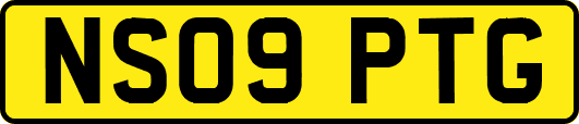 NS09PTG