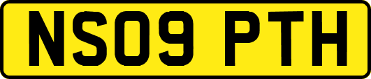 NS09PTH