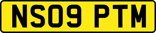 NS09PTM
