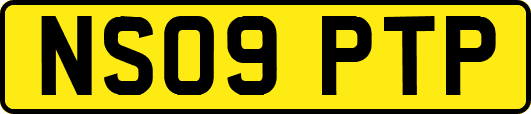 NS09PTP