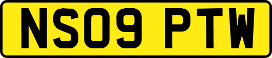 NS09PTW