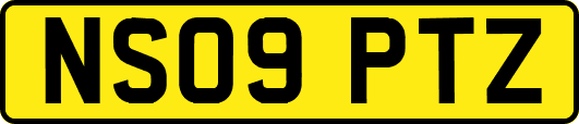 NS09PTZ