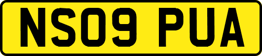 NS09PUA