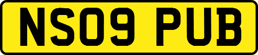 NS09PUB