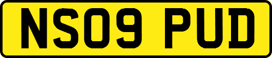 NS09PUD