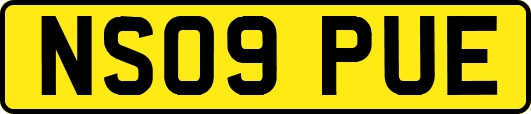 NS09PUE