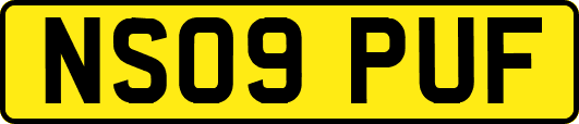 NS09PUF