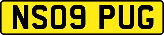 NS09PUG