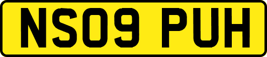 NS09PUH