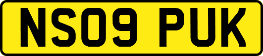 NS09PUK