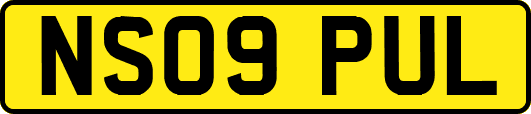 NS09PUL