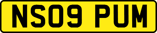 NS09PUM