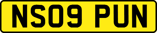 NS09PUN