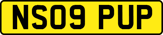 NS09PUP