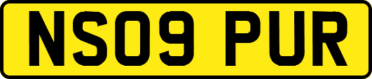 NS09PUR