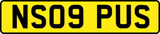 NS09PUS
