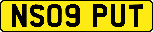 NS09PUT