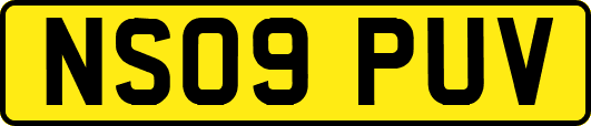 NS09PUV