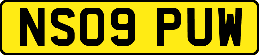 NS09PUW